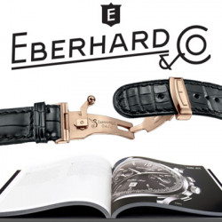 Vedi articoli Eberhard