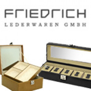 Vedi collezioni Friedrich